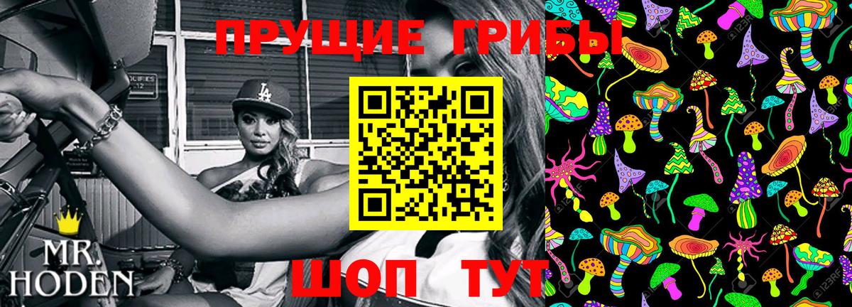 Псилоцибиновые грибы прущие грибы  Псилоцибиновые грибы GOLDEN TEACHER  Вход с VPN  продажа наркотиков  Кимры 